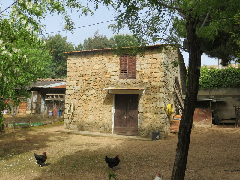 Ancien chai de la famille Giacomoni, actuellement remise agricole, poulallier (Forella)