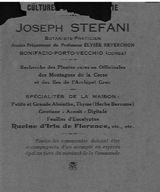 Publicité présentant le botaniste Joseph Stefani