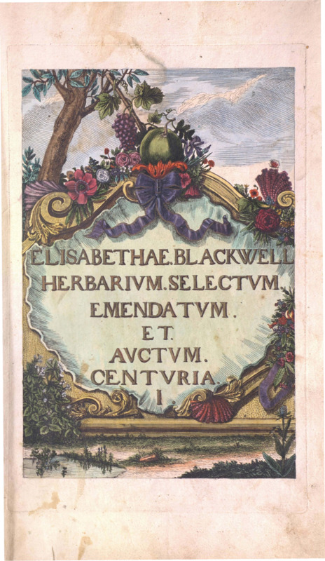 Herbariv Blackwell Tome III