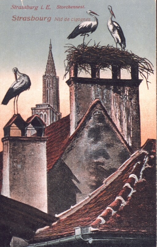 Cartes postales de Strasbourg (Joseph-Antoine Canasi)