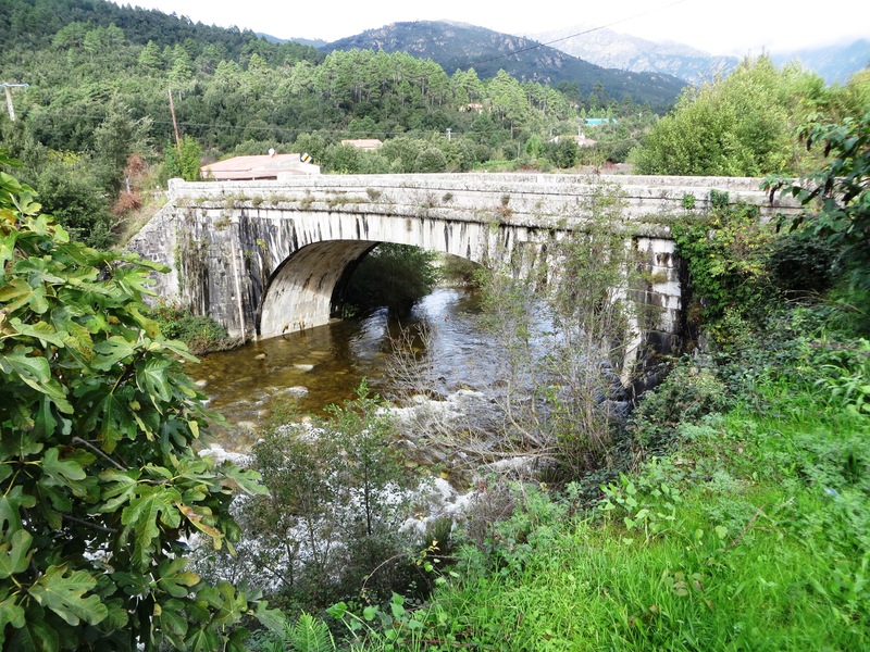 >Pont d'Ucciani (Vergaggio)