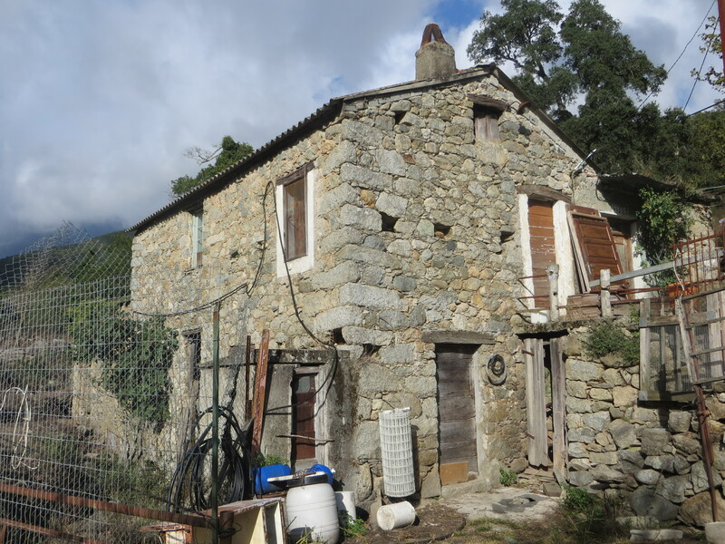 >Moulin à farine de la famille Dominici (Branca)